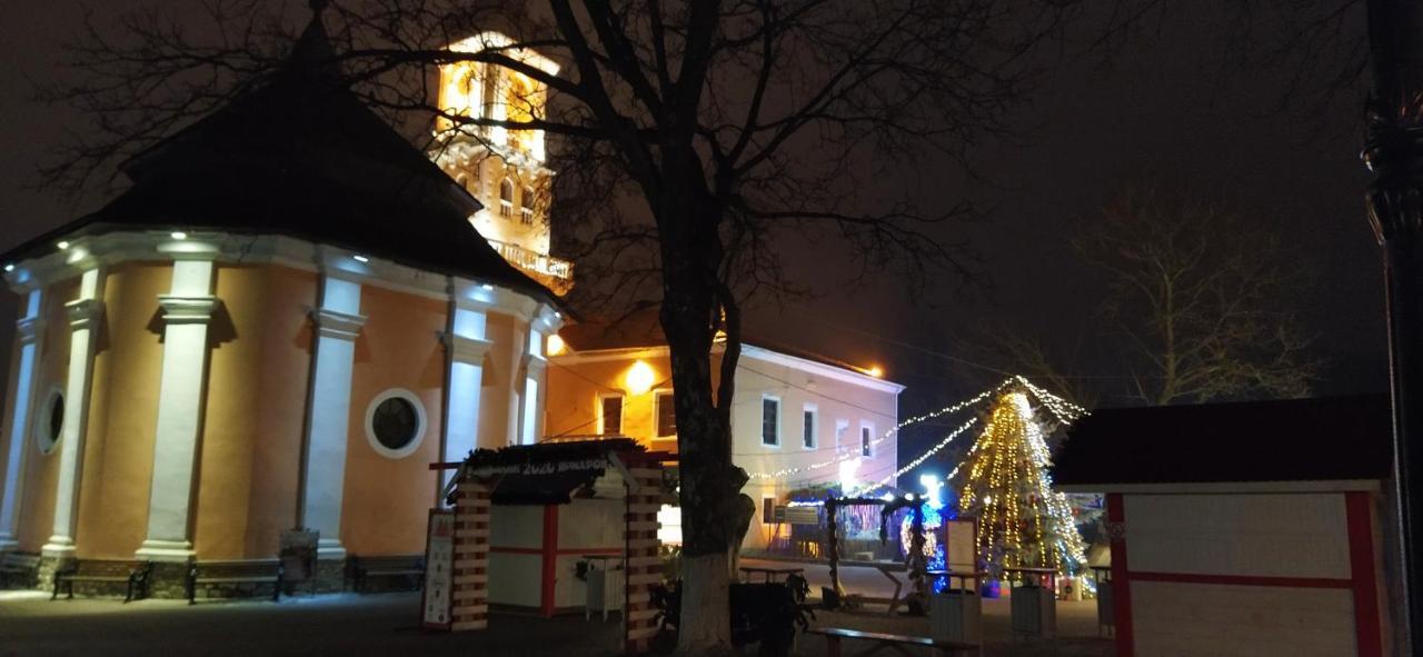 Old Town Apartments Kamenec Podolský Exteriér fotografie